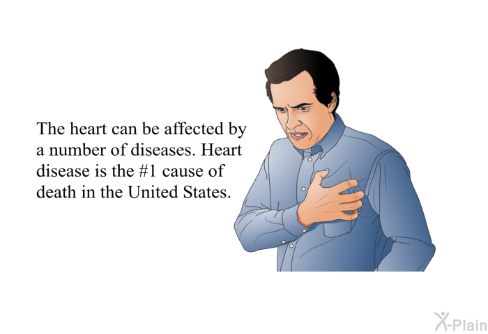 The heart can be affected by a number of diseases. Heart disease is the #1 cause of death in the United States.