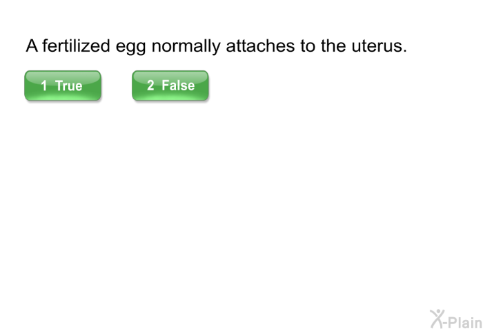 A fertilized egg normally attaches to the uterus.