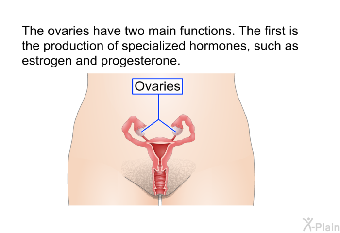 The ovaries have two main functions. The first is the production of specialized hormones, such as estrogen and progesterone.