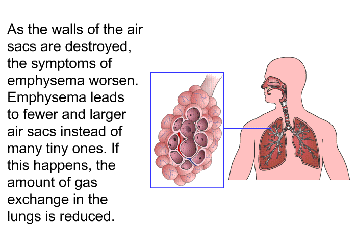 As the walls of the air sacs are destroyed, the symptoms of emphysema worsen. Emphysema leads to fewer and larger air sacs instead of many tiny ones. If this happens, the amount of gas exchange in the lungs is reduced.
