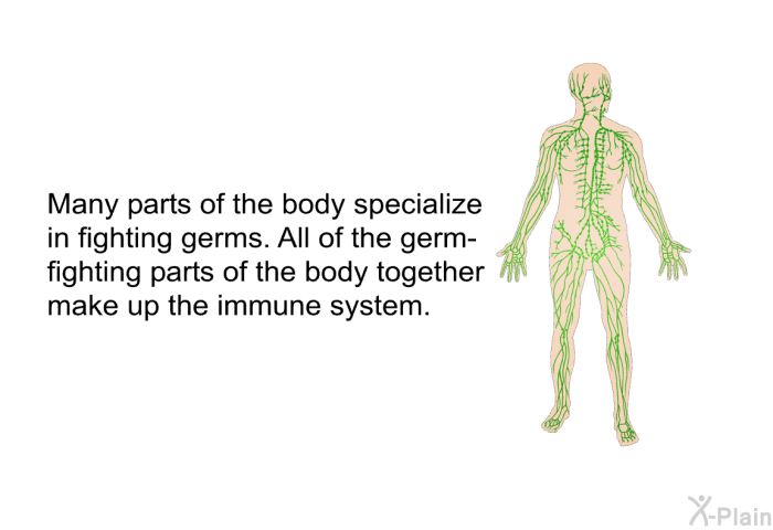 Many parts of the body specialize in fighting germs. All of the germ-fighting parts of the body together make up the immune system.