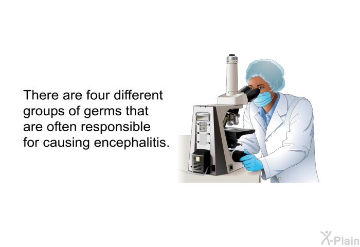 There are four different groups of germs that are often responsible for causing encephalitis.