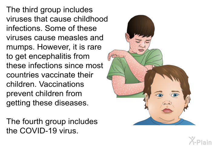 The third group includes viruses that cause childhood infections. Some of these viruses cause measles and mumps. However, it is rare to get encephalitis from these infections since most countries vaccinate their children. Vaccinations prevent children from getting these diseases. 
 The fourth group includes the COVID-19 virus.