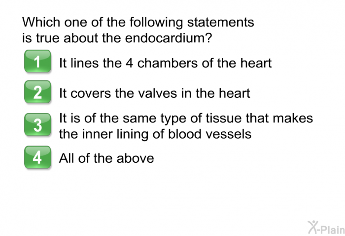 Which one of the following statements is true about the endocardium?  It lines the 4 chambers of the heart It covers the valves in the heart It is of the same type of tissue that makes the inner lining of blood vessels All of the above