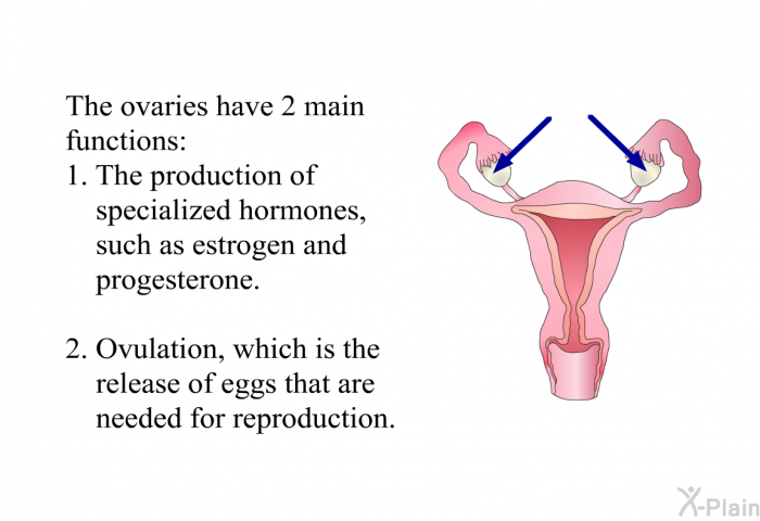 The ovaries have 2 main functions:  The production of specialized hormones, such as estrogen and progesterone. Ovulation, which is the release of eggs that are needed for reproduction.