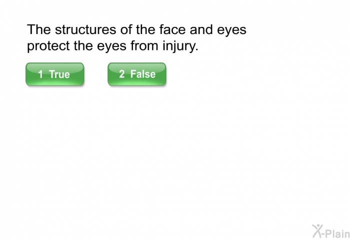 The structures of the face and eyes protect the eyes from injury.