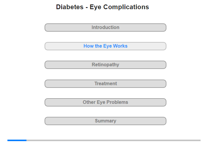 How the Eye Works