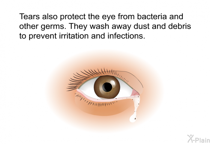 Tears also protect the eye from bacteria and other germs. They wash away dust and debris to prevent irritation and infections.