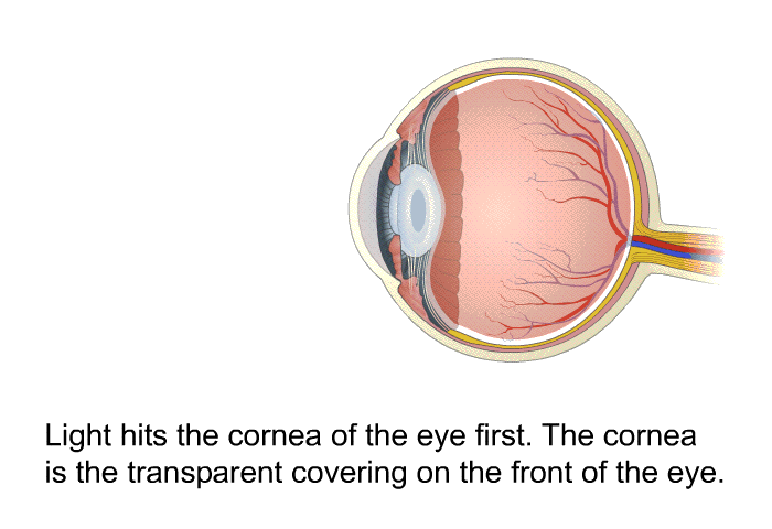 Light hits the cornea of the eye first. The cornea is the transparent covering on the front of the eye.