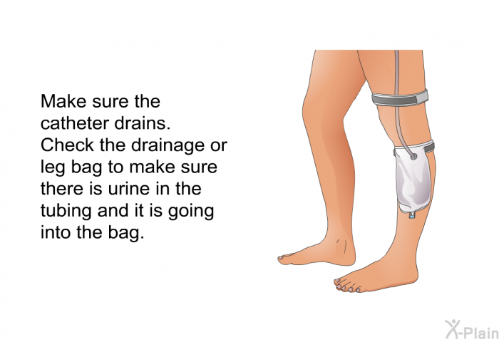 Make sure the catheter drains. Check the drainage or leg bag to make sure there is urine in the tubing and it is going into the bag.