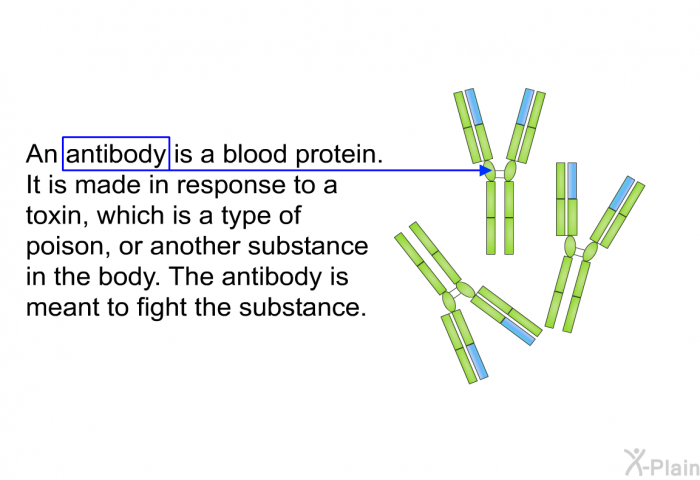 An antibody is a blood protein. It is made in response to a toxin, which is a type of poison, or another substance in the body. The antibody is meant to fight the substance.