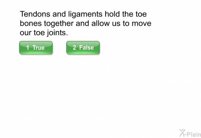 Tendons and ligaments hold the toe bones together and allow us to move our toe joints.