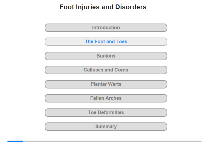 The Foot and Toes