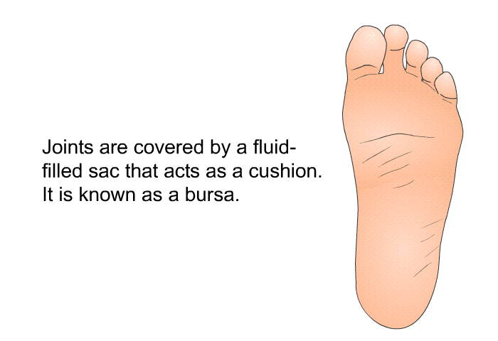 Joints are covered by a fluid-filled sac that acts as a cushion. It is known as a bursa.