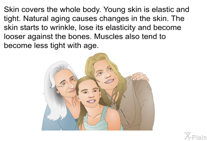 Skin covers the whole body. Young skin is elastic and tight. Natural aging causes changes in the skin. The skin starts to wrinkle, lose its elasticity and become looser against the bones. Muscles also tend to become less tight with age.