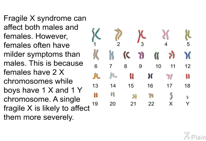 Fragile X syndrome can affect both males and females. However, females often have milder symptoms than males. This is because females have 2 X chromosomes while boys have 1 X and 1 Y chromosome. A single fragile X is likely to affect them more severely.