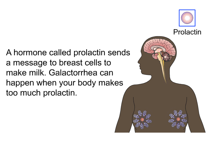A hormone called prolactin sends a message to breast cells to make milk. Galactorrhea can happen when your body makes too much prolactin.