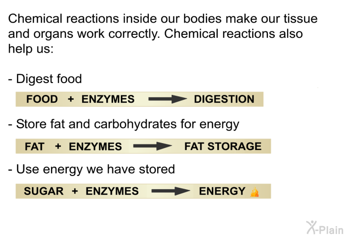 Chemical reactions inside our bodies make our tissue and organs work correctly. Chemical reactions also help us:  Digest food Store fat and carbohydrates for energy Use energy we have stored