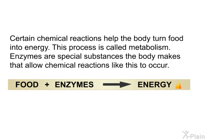 Certain chemical reactions help the body turn food into energy. This process is called metabolism. Enzymes are special substances the body makes that allow chemical reactions like this to occur.