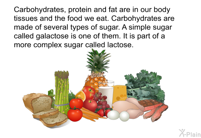 Carbohydrates, protein and fat are in our body tissues and the food we eat. Carbohydrates are made of several types of sugar. A simple sugar called galactose is one of them. It is part of a more complex sugar called lactose.