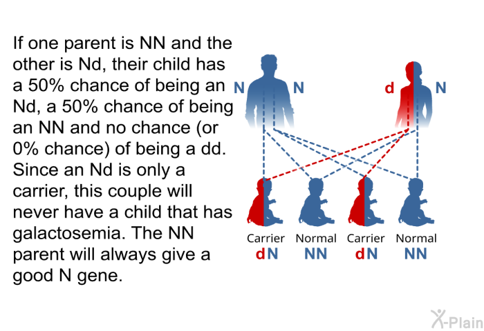 If one parent is NN and the other is Nd, their child has a 50% chance of being an Nd, a 50% chance of being an NN and no chance (or 0% chance) of being a dd. Since an Nd is only a carrier, this couple will never have a child that has galactosemia. The NN parent will always give a good N gene.