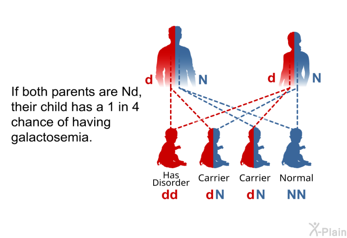 If both parents are Nd, their child has a 1 in 4 chance of having galactosemia.