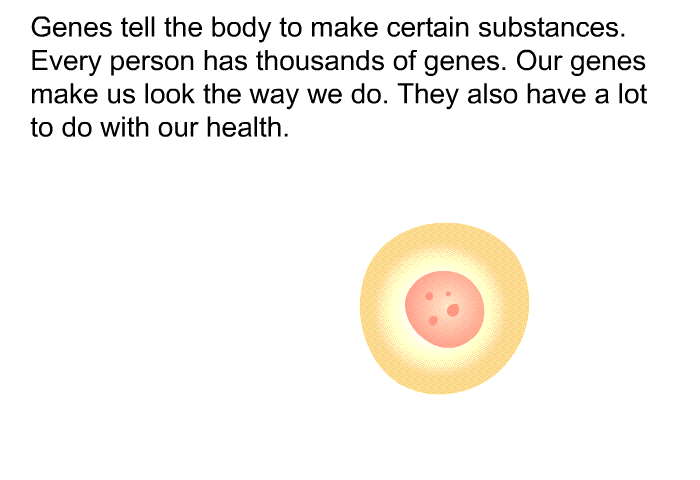 Genes tell the body to make certain substances. Every person has thousands of genes. Our genes make us look the way we do. They also have a lot to do with our health.