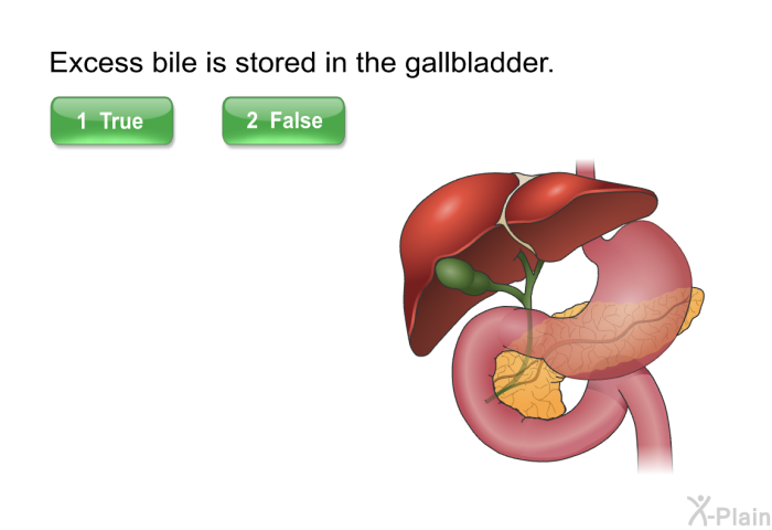 Excess bile is stored in the gallbladder.