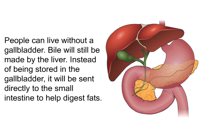 People can live without a gallbladder. Bile will still be made by the liver. Instead of being stored in the gallbladder, it will be sent directly to the small intestine to help digest fats.