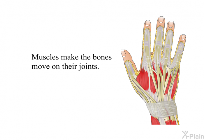 Muscles make the bones move on their joints.