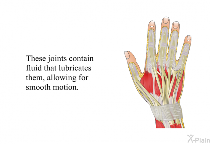 These joints contain fluid that lubricates them, allowing for smooth motion.