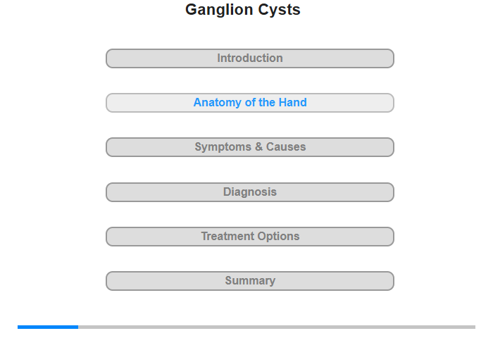 Anatomy of the Hand