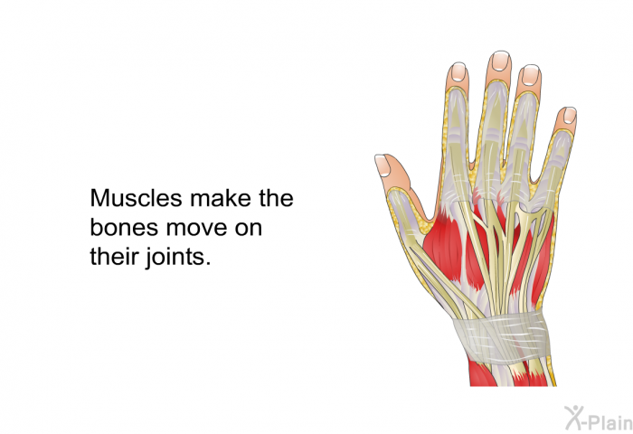 Muscles make the bones move on their joints.