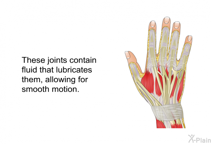These joints contain fluid that lubricates them, allowing for smooth motion.