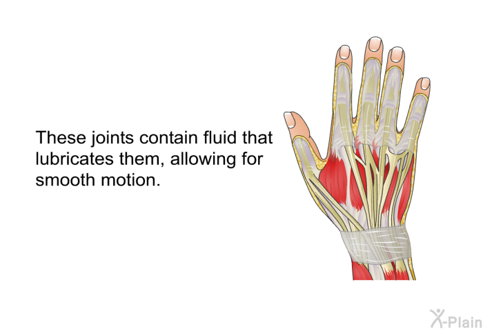 These joints contain fluid that lubricates them, allowing for smooth motion.