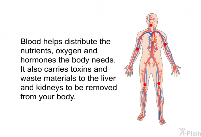 Blood helps distribute the nutrients, oxygen and hormones the body needs. It also carries toxins and waste materials to the liver and kidneys to be removed from your body.