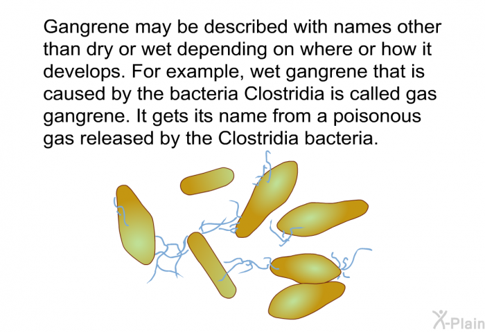 Gangrene may be described with names other than dry or wet depending on where or how it develops. For example, wet gangrene that is caused by the bacteria Clostridia is called gas gangrene. It gets its name from a poisonous gas released by the Clostridia bacteria.