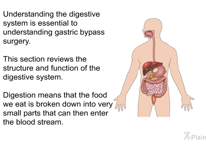 Understanding the digestive system is essential to understanding gastric bypass surgery. This section reviews the structure and function of the digestive system. Digestion means that the food we eat is broken down into very small parts that can then enter the blood stream.