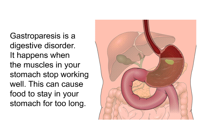 Gastroparesis is a digestive disorder. It happens when the muscles in your stomach stop working well. This can cause food to stay in your stomach for too long.