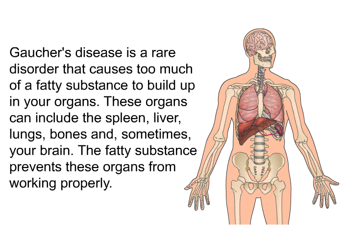 Gaucher's disease is a rare disorder that causes too much of a fatty substance to build up in your organs. These organs can include the spleen, liver, lungs, bones and, sometimes, your brain. The fatty substance prevents these organs from working properly.