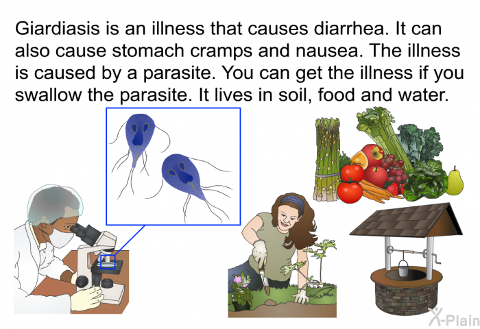 Giardiasis is an illness that causes diarrhea. It can also cause stomach cramps and nausea. The illness is caused by a parasite. You can get the illness if you swallow the parasite. It lives in soil, food and water.