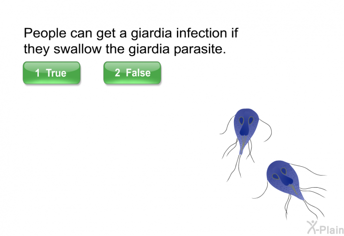 People can get a giardia infection if they swallow the giardia parasite. Select True or False.