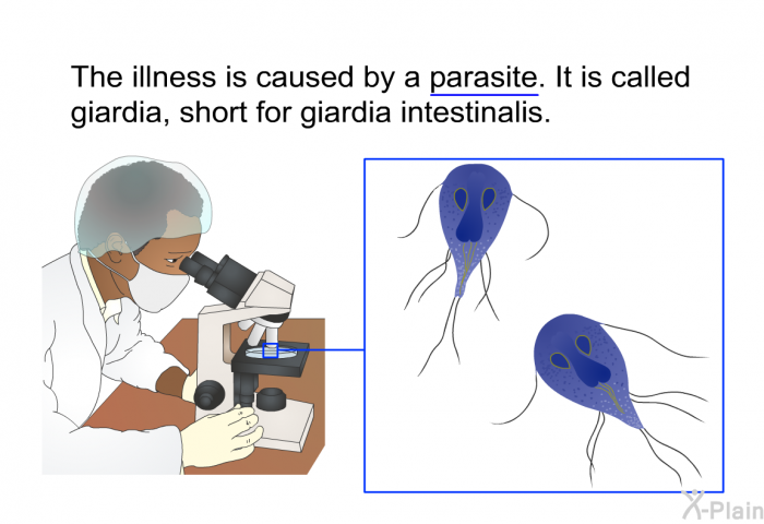 The illness is caused by a parasite. It is called giardia, short for giardia intestinalis.