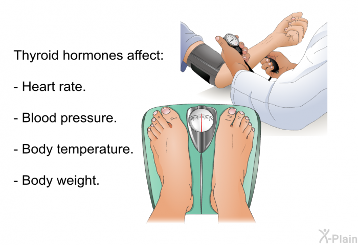 Thyroid hormones affect:  Heart rate. Blood pressure. Body temperature. Body weight.