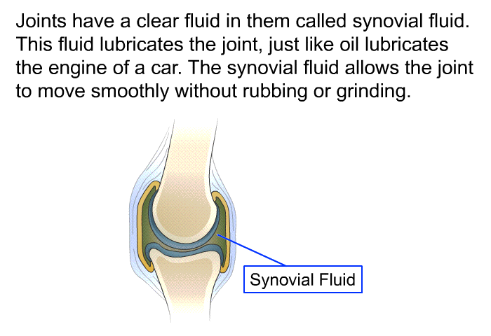 Joints have a clear fluid in them called synovial fluid. This fluid lubricates the joint, just like oil lubricates the engine of a car. The synovial fluid allows the joint to move smoothly without rubbing or grinding.