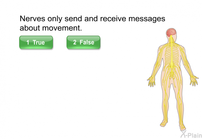 Nerves only send and receive messages about movement. Select True or False.