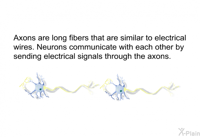 Axons are long fibers that are similar to electrical wires. Neurons communicate with each other by sending electrical signals through the axons.