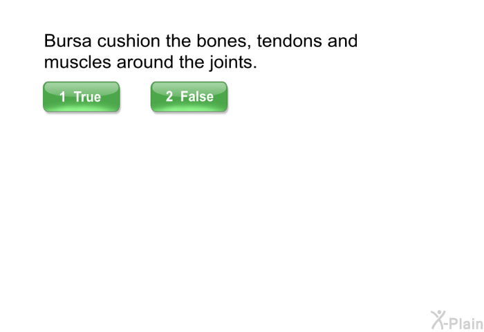 Bursa cushion the bones, tendons and muscles around the joints.
