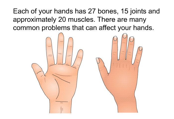 Each of your hands has 27 bones, 15 joints and approximately 20 muscles. There are many common problems that can affect your hands.