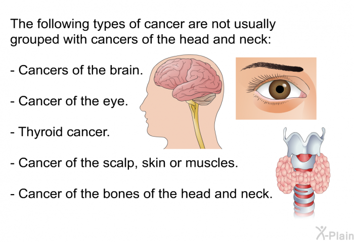 The following types of cancer are not usually grouped with cancers of the head and neck:  Cancers of the brain. Cancer of the eye. Thyroid cancer. Cancer of the scalp, skin or muscles. Cancer of the bones of the head and neck.
